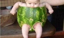 吃瓜小孩全部,一场关于好奇与成长的趣味之旅