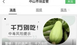 迷你葫芦瓜可以吃吗,美味可口的健康食材