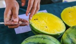 百高吃瓜,揭秘娱乐圈幕后真相