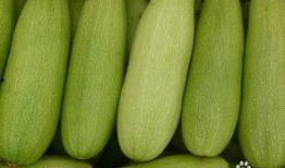 江苏种的白瓜怎么吃的,江苏白瓜的多样食法探索