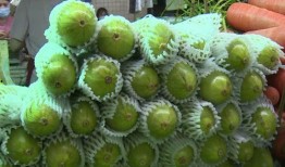 迷你葫芦瓜可以吃吗,美味可口的健康食材