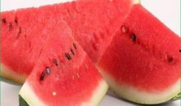 海鲜吃瓜啦,吃瓜乐趣无限