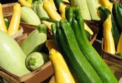 医院吃瓜最多,揭秘吃瓜群众的日常