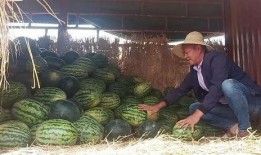 宁蒗县吃瓜群众,吃瓜群众的热闹生活画卷