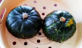 哈米瓜怎样吃,探索美味与健康的完美结合