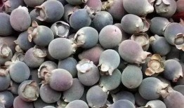 吃瓜群众甲丙丁,揭秘娱乐圈背后的故事