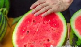 吃瓜哪个学校,“揭秘‘吃瓜现象背后的高校风云录”