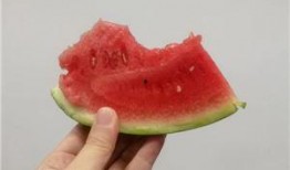 珊瑚网站吃瓜,揭秘网络吃瓜群众的狂欢盛宴