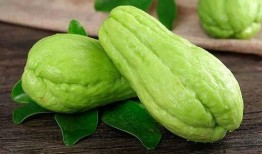 滴漏瓜怎么吃,解锁美味新体验