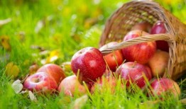 苹果吃瓜应用,轻松掌握娱乐圈动态，畅享娱乐资讯盛宴