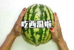 吃瓜专用衣服是什么,揭秘“吃瓜专用衣服”的独特魅力