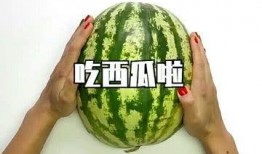 吃瓜专用衣服是什么,揭秘“吃瓜专用衣服”的独特魅力