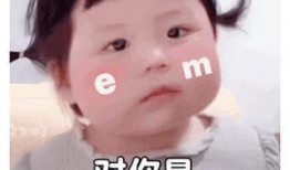 吃瓜表情包丸子妹,趣味横生的网络文化现象