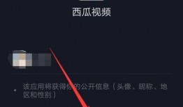 抖音吃瓜id,“揭秘抖音吃瓜ID背后的热门话题与趣味故事”