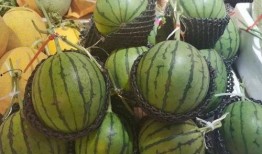 精彩的吃瓜,揭秘娱乐圈那些精彩吃瓜瞬间