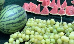 山东名师吃瓜,揭秘教育界的“瓜田李下”