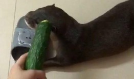 坐着吃瓜的图片,笑谈人间百态