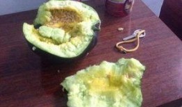 以前吃瓜和最近吃瓜,吃瓜群众的智慧与变迁