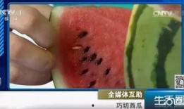 古代吃瓜不吐籽,吃瓜不吐籽，品味传统饮食文化
