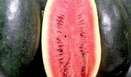 张石头老师吃瓜,揭秘娱乐圈幕后故事