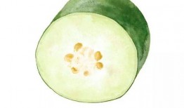 春暖吃瓜,探寻春天的美味秘密