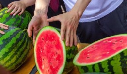 阿姆斯特丹大学吃瓜,一场别开生面的“吃瓜”盛宴