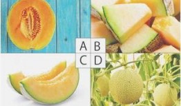 吃瓜测试君,揭秘娱乐圈背后的真相与笑料