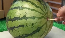 山东名师吃瓜,揭秘教育界的“瓜田李下”