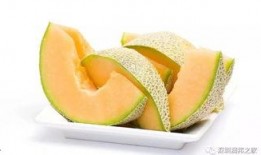 下午吃哈密瓜好消化吗,消化吸收的奥秘解析