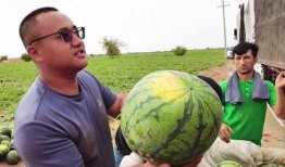 江山最新吃瓜,揭秘最新吃瓜事件背后的真相