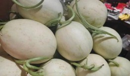 英国海南吃瓜,吃瓜群众纷纷点赞