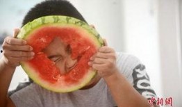 吃瓜小孩全部,一场关于好奇与成长的趣味之旅