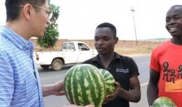 今日吃瓜事件黑,揭秘娱乐圈最新黑幕事件