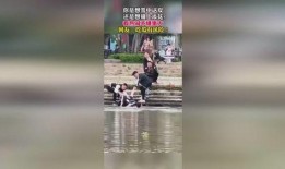 吃瓜群众出彩视频,捕捉生活中的精彩瞬间