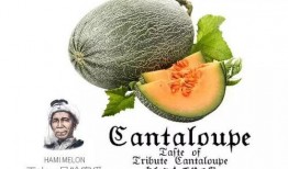 吃瓜32号,一场网络热点的背后故事