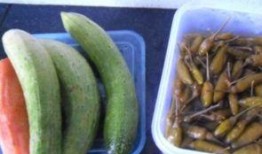 泡瓜怎么吃最好,探索最佳食用方法