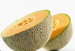 下午吃哈密瓜好消化吗,消化吸收的奥秘解析