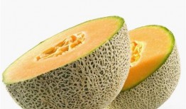 下午吃哈密瓜好消化吗,消化吸收的奥秘解析