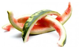 吃瓜不分品种吗,品种无关，快乐共享