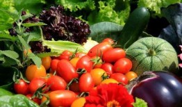 胜利王勇吃瓜,揭秘娱乐圈背后的秘密