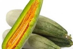 临邑吃瓜视频,揭秘当地特色美食与风土人情