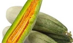 临邑吃瓜视频,揭秘当地特色美食与风土人情