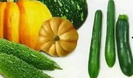 江山最新吃瓜,揭秘最新吃瓜事件背后的真相