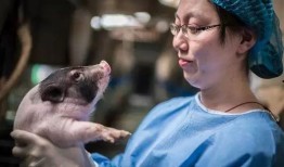 人类返祖吃瓜,探寻人类远古食趣