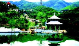 消夏吃瓜好去处,探寻最佳吃瓜胜地