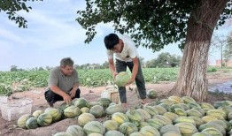 小丘八吃瓜,揭秘娱乐圈那些不为人知的幕后故事