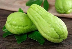 怪手瓜怎样吃,探索美味新境界