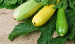 野排吃瓜,揭秘娱乐圈幕后故事