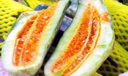 吃瓜热门吃瓜,吃瓜群众的热门话题大盘点