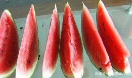 后悔吃瓜视频,揭秘那些让人追悔莫及的吃瓜瞬间